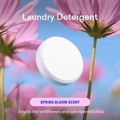 Dishwasher & Laundry Detergent Kit